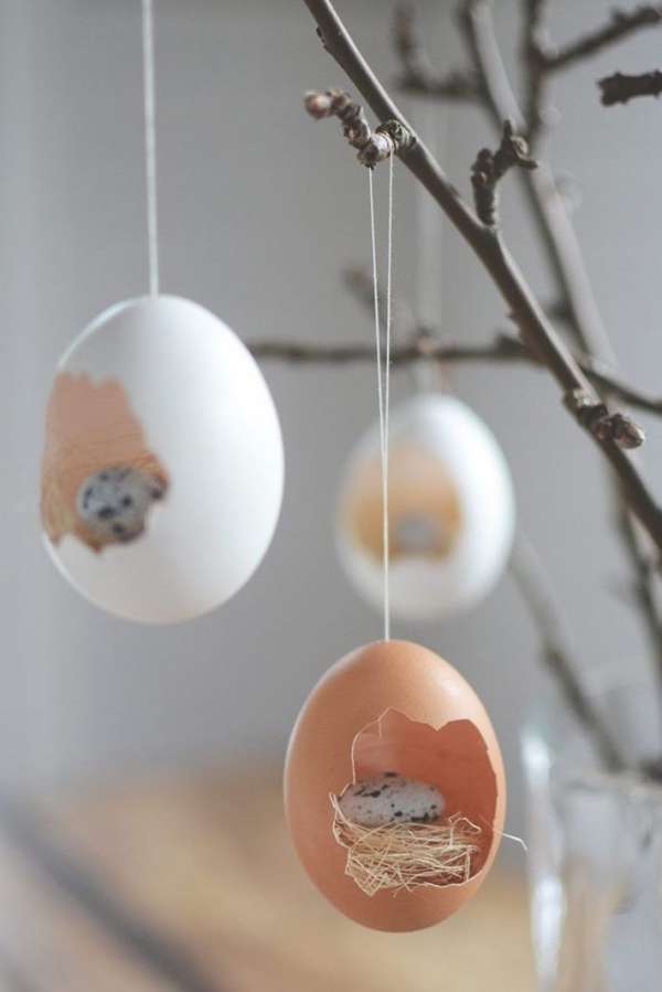 Des petits nids d'oiseaux à l'aide de coquilles d'œufs vides