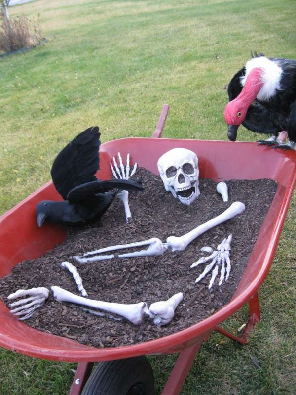 Utilisez une brouette, de la terre et un squelette en plastique pour donner un côté morbide à votre décoration d'Halloween