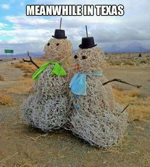 Bonhommes de neige au Texas