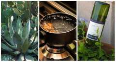 10 Astuces pour économiser l'eau dans le jardin