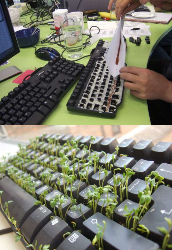 Faites pousser des plantes dans un clavier et mettez-le à la place de celui de votre collègue