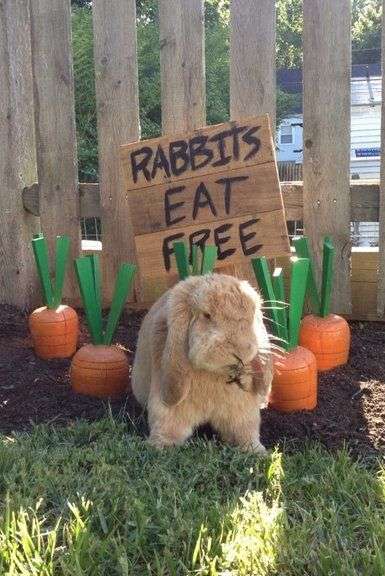 Des carottes en bois pour votre lapin de Pâques