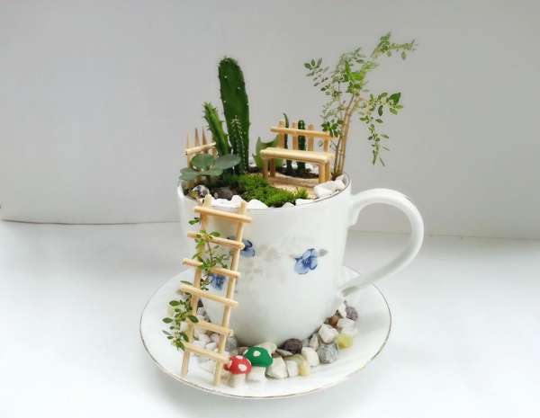 Un mini giardino semplice e facile da ricreare in una tazza