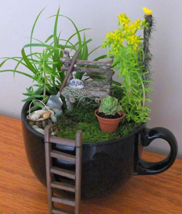 Un giardino in miniatura in una tazza più grande della vita