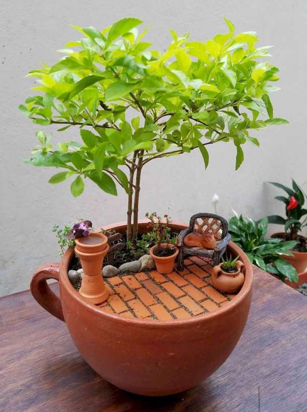 Un giardino in miniatura in una tazza con il suo albero in miniatura