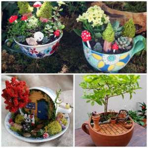 17 idées de mini-jardins dans une tasse