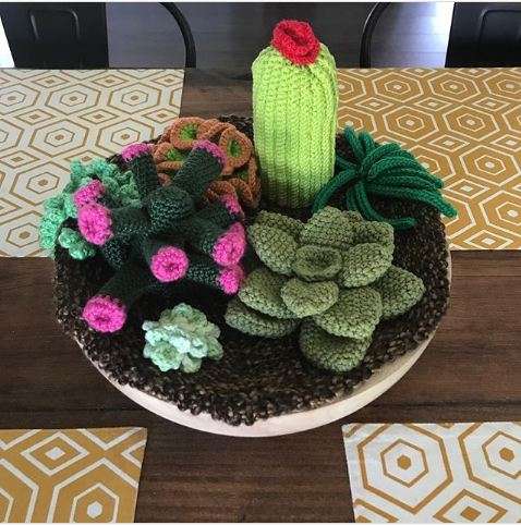 Une jardinière de succulentes et de cactus très pétillante