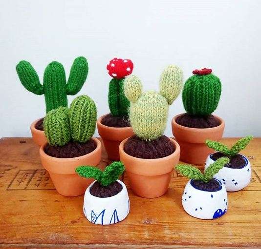 Des minis cactus en crochet avec un coté réaliste très sympa