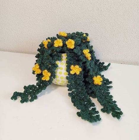 Une plante grimpante en crochet avec de belles petites fleurs