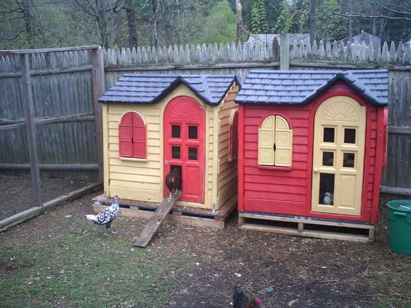 Poulailler avec une maison de jeux pour enfants