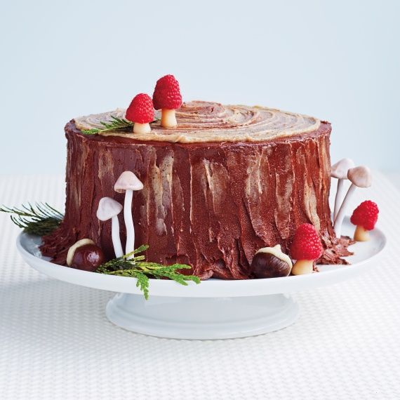 Souche de Noël