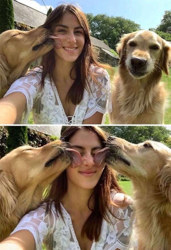 La quantité d'amour sur cette photo