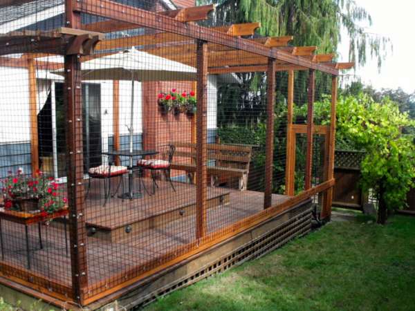 Un patio où chats et humains peuvent apprécier ensemble le beau temps