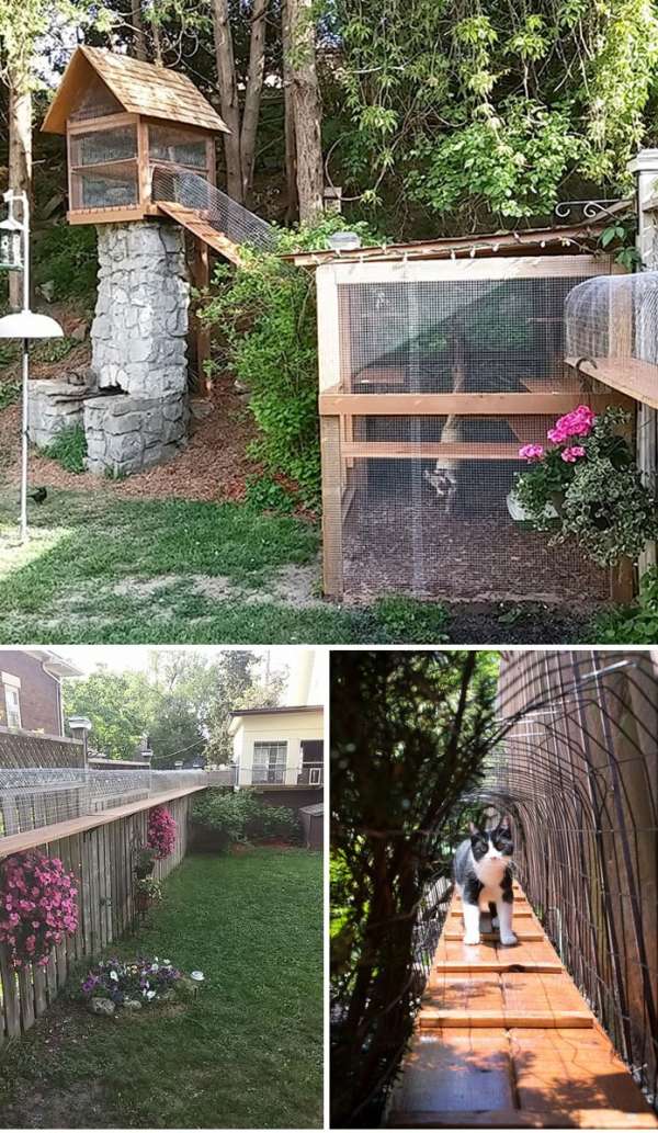 Un patio pour chat avec un tunnel qui longe la clôture de la maison