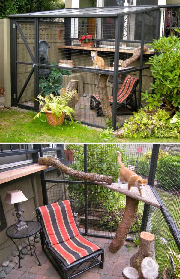 Un patio pour chat avec une chaise et une lampe au cas où son humain voudrait le rejoindre