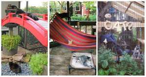 22 idées de patios pour chat
