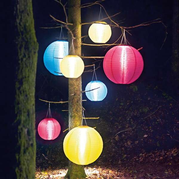Lanternes colorées sur les branches d'un arbre
