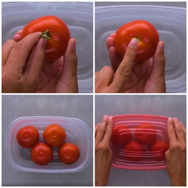 Préserver les tomates plus longtemps