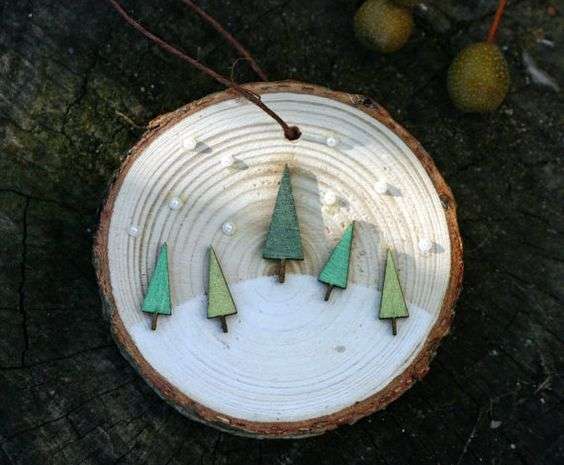 Small fir trees on a log