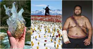 Images rares de choses que vous ne voyez pas tous les jours