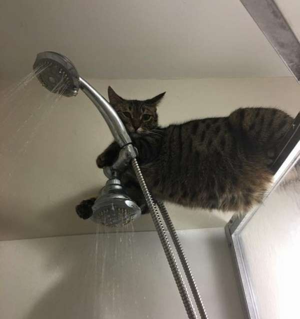 Prends ta douche, je te surveille