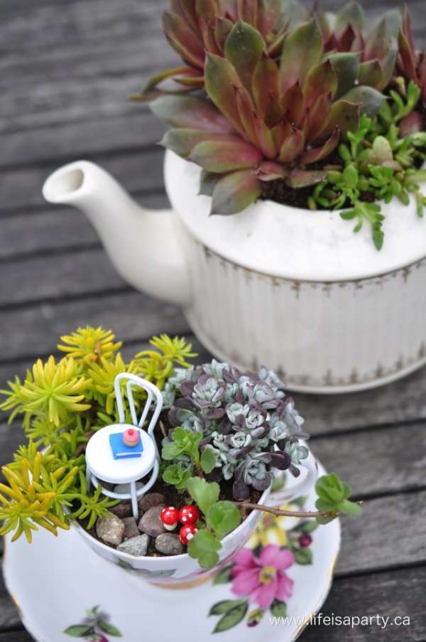 Un mini jardin tasse de thé