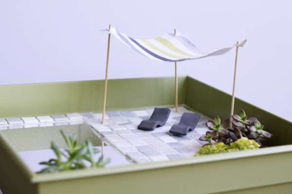 Un jardin miniature moderne