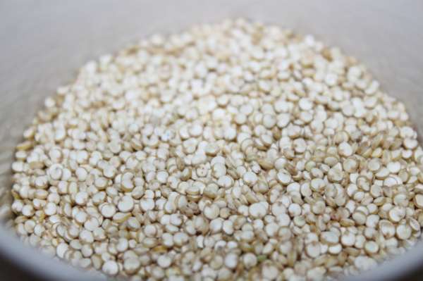 Du quinoa pour remplacer le riz et l'avoine