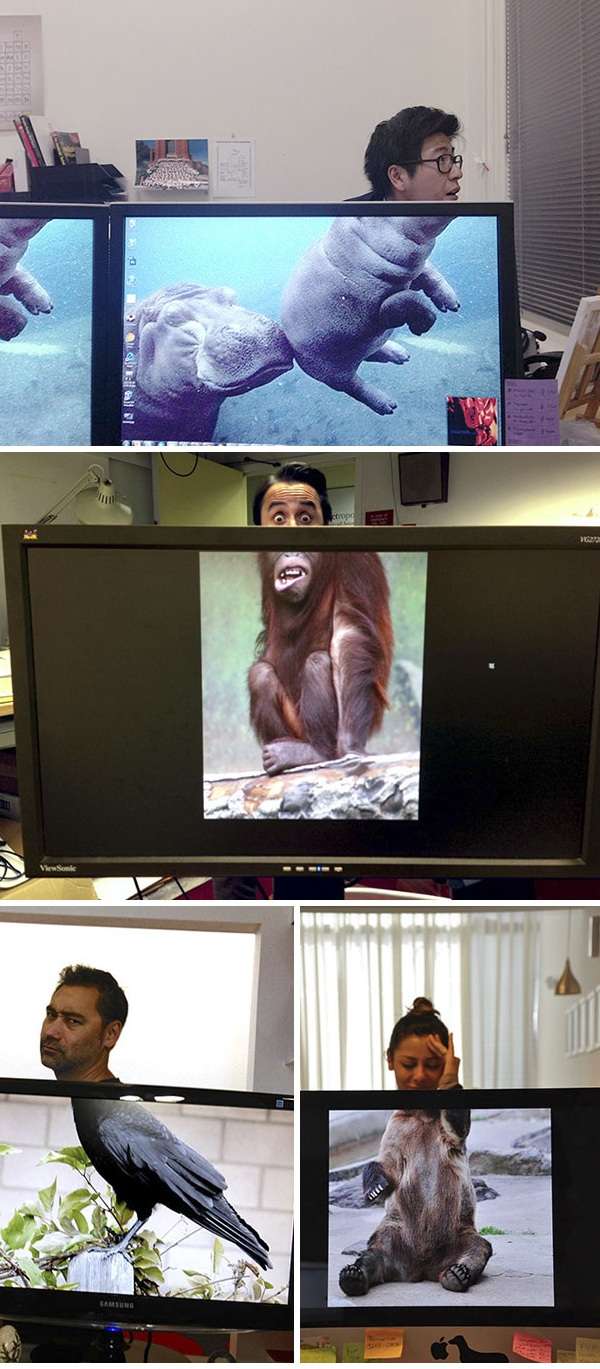 Un safari au bureau est le meilleur moyen de s'occuper au travail