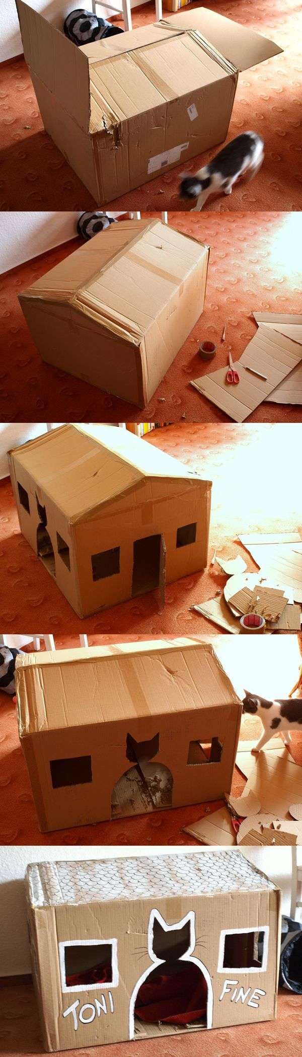 Maison pour chats avec un gros carton