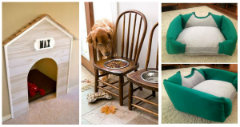 27 supers idées bricolage pour chats et chiens