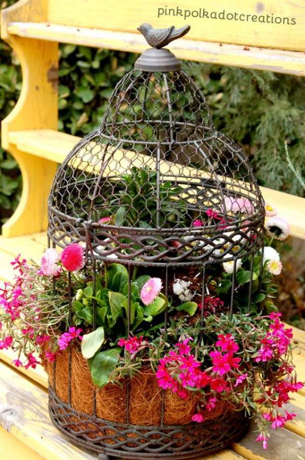 Cage transformée en pot de fleurs