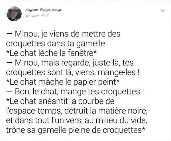 Lorsque ton chat boude et qu'il ne veut pas de croquettes