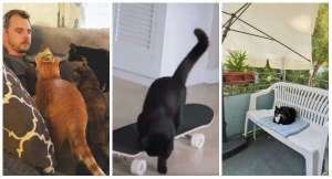 Seuls ceux qui ont des chats ont vécu ça