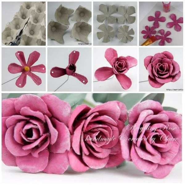 Roses avec des boites d'œufs