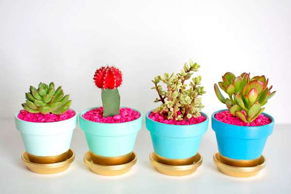 Pots de fleurs personnalisés pour vos mini-cactus