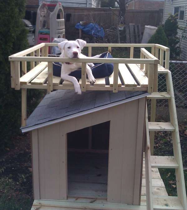 Niche pour chien avec terrasse