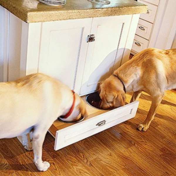 Gamelle dans un tiroir pour que votre chien n'en mette pas partout