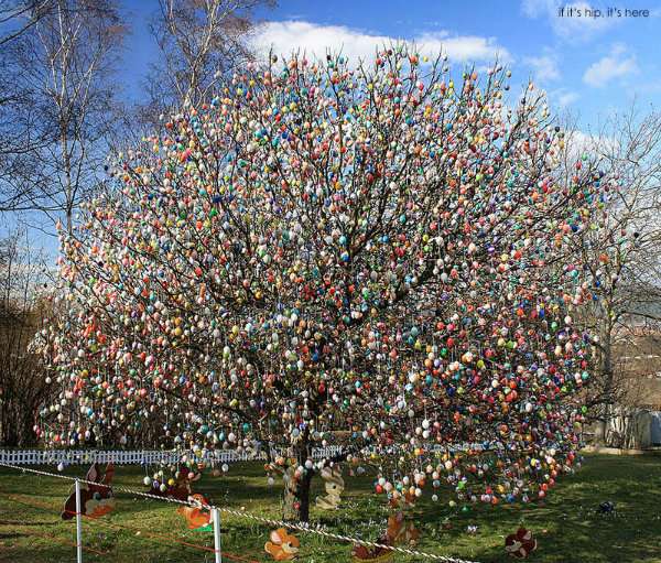 L'arbre à œufs de Pâques