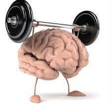 Gymnastique du cerveau