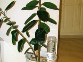 Arrosage automatique fait maison