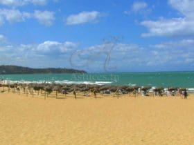 Toutes les bonnes raisons de passer ses vacances à la plage