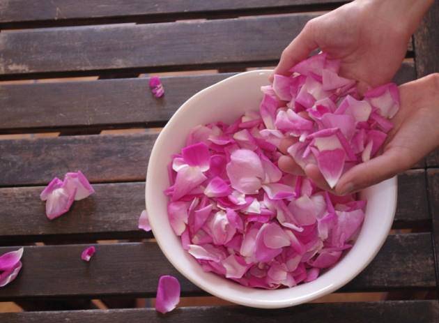 Utilisation de l'eau de rose pour la beauté de la peau