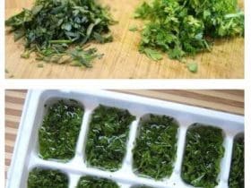 Congélation des herbes aromatiques ou fines herbes