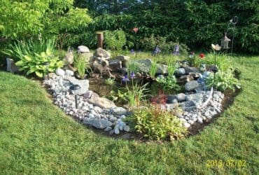 Construction Jardin d'eau