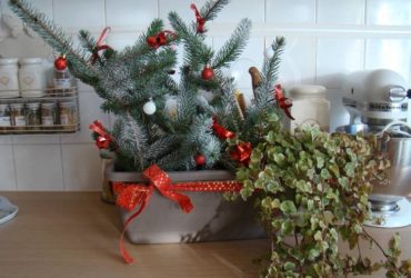 Créez une Jardinière de Noël Festive et Originale !