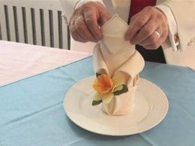 Pliage de serviette en fleur de lys