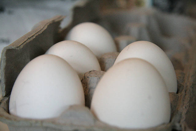 Remplacer les œufs dans les recettes de cuisine