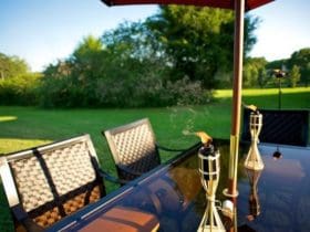 Organiser une fête dans le jardin