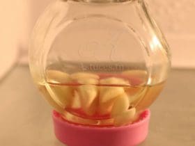 Conserver les gousses d'ail pelées